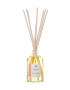 Aroma Home Aroma difuzér Energise Reed Diffuser 100 ml - Pepit.cz