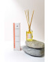 Aroma Home Aroma difuzér Energise Reed Diffuser 100 ml - Pepit.cz