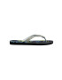 Havaianas Žabky 4144527-1575P pánské - Pepit.cz