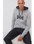 Helly Hansen Mikina HH LOGO HOODIE 33977 - Pepit.cz