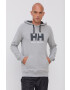 Helly Hansen Mikina HH LOGO HOODIE 33977 - Pepit.cz