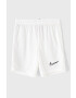 Nike Kids Dětské kraťasy 122-170 cm - Pepit.cz