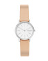 Skagen Hodinky SKW2839 - Pepit.cz