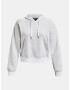 Under Armour Essential Script Hoodie Mikina Šedá - Pepit.cz