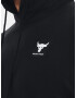 Under Armour Project Rock Terry Hoodie Mikina Černá - Pepit.cz