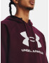 Under Armour UA Rival Fleece Logo HD Mikina Červená - Pepit.cz