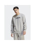 adidas Mikina All SZN Fleece Graphic Sweatshirt IC9823 Šedá Loose Fit - Pepit.cz