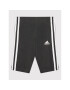 adidas Sportovní kraťasy GN4090 Černá Tright Fit - Pepit.cz