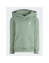 adidas Tepláková souprava Adicolor Hoodie Set IB9909 Zelená Regular Fit - Pepit.cz