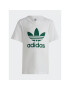 adidas Tepláková souprava Adicolor Shorts and Tee Set IB8663 Zelená Regular Fit - Pepit.cz