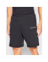 Calvin Klein Performance Sportovní kraťasy 00GMS2S804 Černá Regular Fit - Pepit.cz