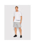 Calvin Klein Performance Sportovní kraťasy 00GMS2S804 Šedá Regular Fit - Pepit.cz