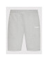 Calvin Klein Performance Sportovní kraťasy 00GMS2S804 Šedá Regular Fit - Pepit.cz