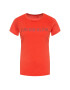 Calvin Klein Performance T-Shirt 00GWS9K157 Červená Regular Fit - Pepit.cz