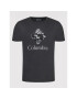 Columbia T-Shirt Rapid Ridge Graphic 1888813 Šedá Regular Fit - Pepit.cz