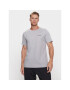 Columbia T-Shirt Rapid Ridge™ Back Graphic Tee II Šedá Regular Fit - Pepit.cz