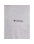 Columbia T-Shirt Rapid Ridge™ Back Graphic Tee II Šedá Regular Fit - Pepit.cz