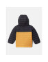 Columbia Vatovaná bunda Powder Lite™ Boys Hooded Jacket Žlutá Regular Fit - Pepit.cz