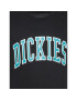 Dickies T-Shirt Aitkin DK0A4X9FF04 Černá Regular Fit - Pepit.cz