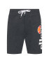 Ellesse Sportovní kraťasy Bossini SHS08748 Šedá Regular Fit - Pepit.cz