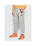 Ellesse Teplákové kalhoty Diruta SXG09897 Šedá Regular Fit - Pepit.cz