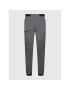 Haglöfs Outdoorové kalhoty L.I.M Fuse Pant 605305 Šedá Regular Fit - Pepit.cz