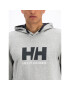 Helly Hansen Mikina Hh Logo 33977 Šedá Regular Fit - Pepit.cz