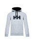 Helly Hansen Mikina Hh Logo 33977 Šedá Regular Fit - Pepit.cz