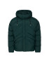 Helly Hansen Vatovaná bunda Jpn 53566 Zelená Regular Fit - Pepit.cz