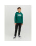 Jack&Jones Junior Mikina 12152841 Zelená Regular Fit - Pepit.cz