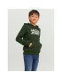 Jack&Jones Junior Mikina 12152841 Zelená Regular Fit - Pepit.cz