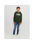 Jack&Jones Junior Mikina 12152841 Zelená Regular Fit - Pepit.cz