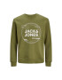 Jack&Jones Junior Mikina 12247681 Zelená Standard Fit - Pepit.cz