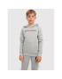 Jack&Jones Junior Mikina Corp Old Logo 12212186 Šedá Regular Fit - Pepit.cz