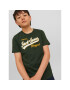 Jack&Jones Junior T-Shirt 12237367 Zelená Regular Fit - Pepit.cz