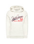 Jack&Jones Mikina Logo 12172349 Šedá Regular Fit - Pepit.cz