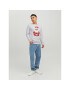 Jack&Jones Mikina Toon 12219685 Šedá Regular Fit - Pepit.cz