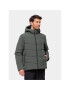 Jack Wolfskin Zimní bunda Karolinger Jkt 1207831 Zelená Regular Fit - Pepit.cz