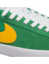 Nike Boty Sb Zoom Blazer Low Pro Gt DC7695 300 Zelená - Pepit.cz