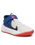 Nike Boty Team Hustle D 10 Flyease (GS) DD7303 103 Barevná - Pepit.cz