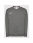 Nike Mikina Park 20 CW6902 Šedá Regular Fit - Pepit.cz