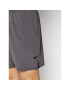 Nike Plavecké šortky Nessa 479018 Šedá Regular Fit - Pepit.cz