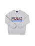 Polo Ralph Lauren Mikina Spring II 323800659 Šedá Regular Fit - Pepit.cz