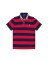 Polo Ralph Lauren Polokošile 323793534001 Barevná Regular Fit - Pepit.cz