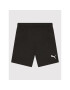 Puma Sportovní kraťasy 704943 Černá Regular Fit - Pepit.cz