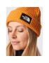 The North Face Čepice Salty Lined Beanie NF0A3FJW6R21 Oranžová - Pepit.cz