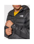 The North Face Vatovaná bunda Acncga 2 Hdie NF0A4R26 Černá Regular Fit - Pepit.cz