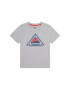 Timberland T-Shirt T25T91 D Šedá Regular Fit - Pepit.cz