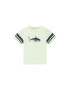 Tom Tailor T-Shirt 1035057 Zelená - Pepit.cz