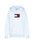 Tommy Hilfiger Mikina Abo Flag WW0WW32440 Modrá Regular Fit - Pepit.cz